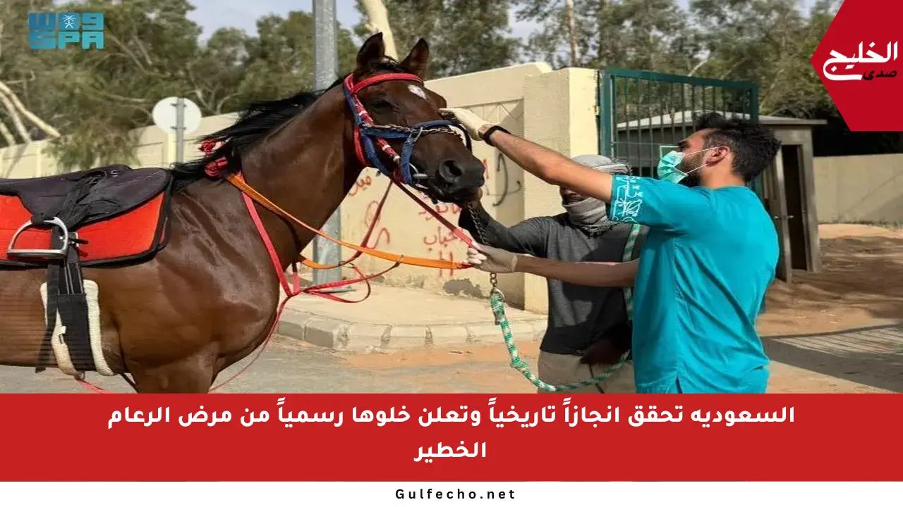 السعودية تحقق إنجازاً تاريخياً وتعلن خلوها رسمياً من مرض الرعام الخطير